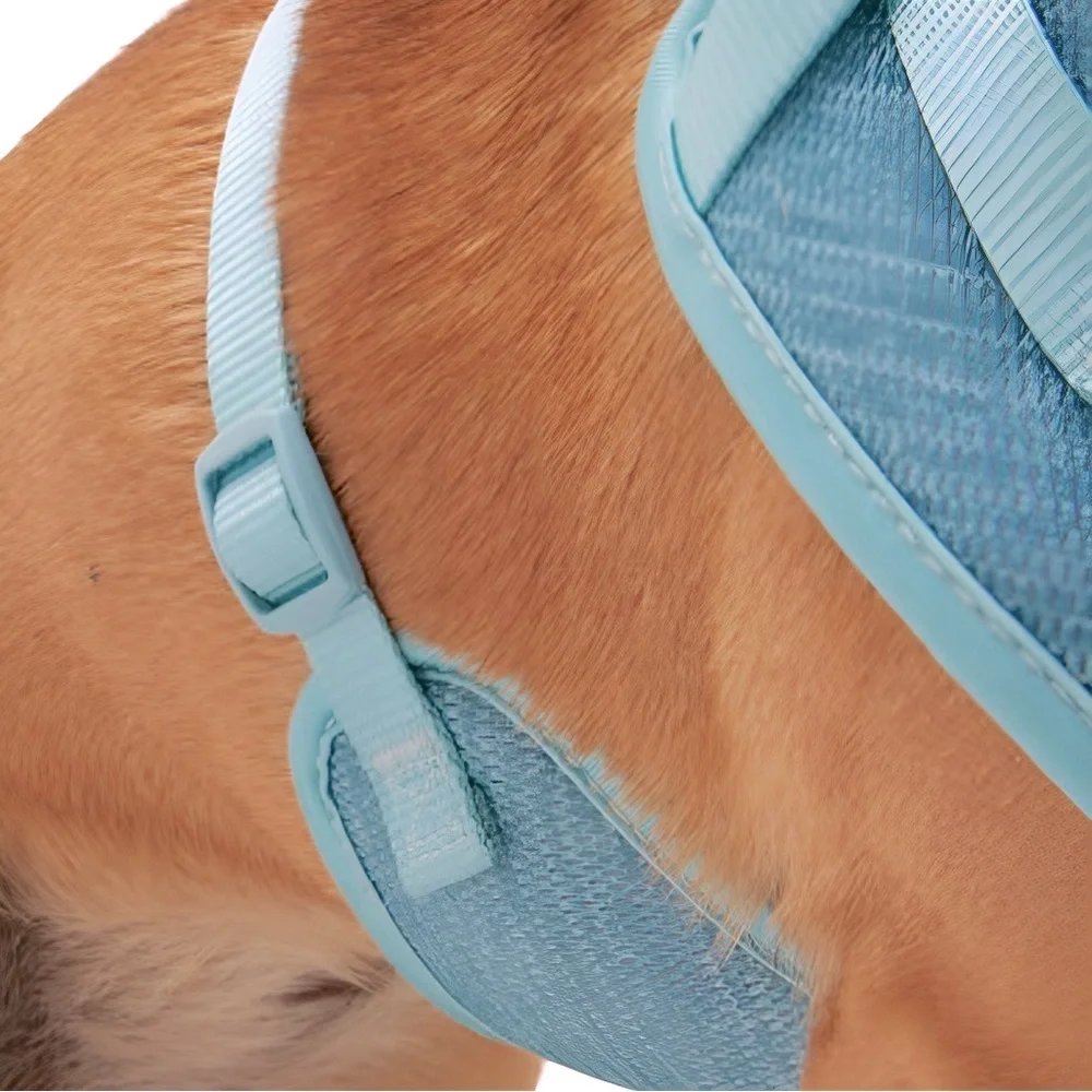 EVERY YAY Comfy Padded Mesh No-Pull Turquoise Teal Blue Dog Harness 🐶MEDIUM🐶 NWT